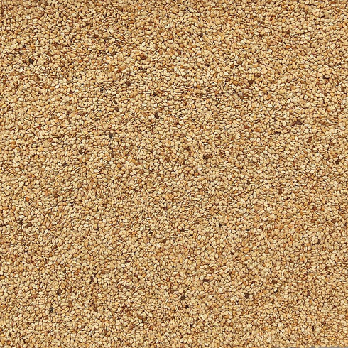 ORGANIC SESAME SEEDS, natural, unhulled